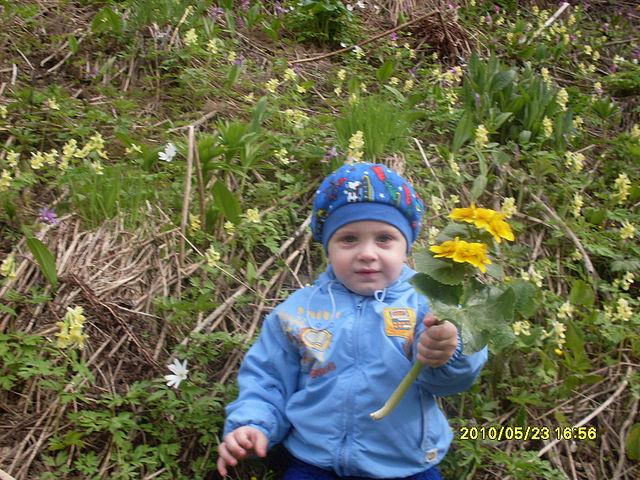 Файл:388293 1.jpg