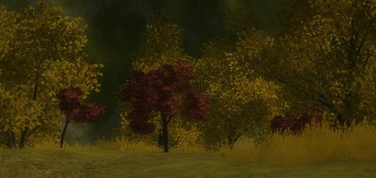 Осенний лес3.jpg