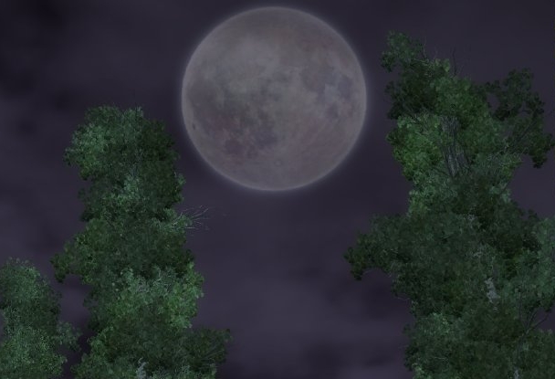 Луна меж двух деревьев.jpg