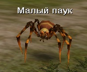 Файл:Малый паук.jpg