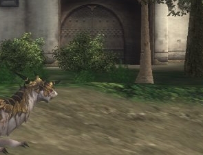 Белые драконы222.jpg