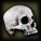 Non burning skull.jpg